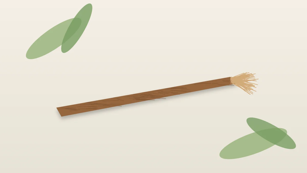 Siwak : ce que l'on sait de ce bâton à mâcher pour l'hygiène bucco-dentaire