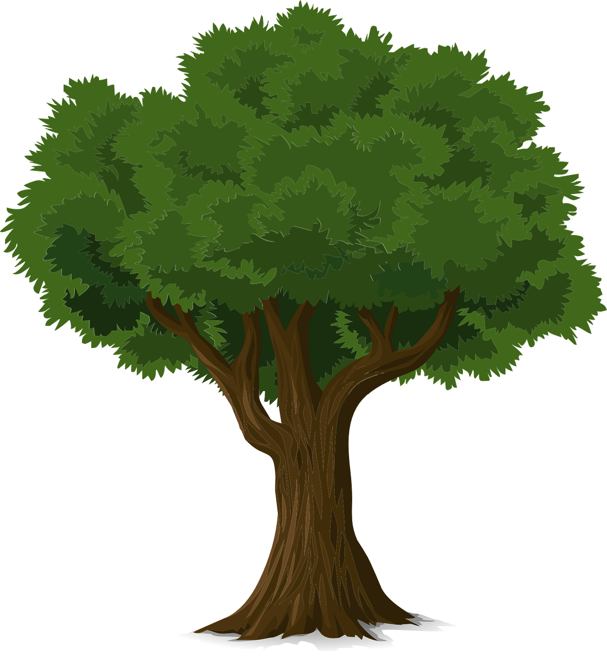 Joplin Tree Care logo