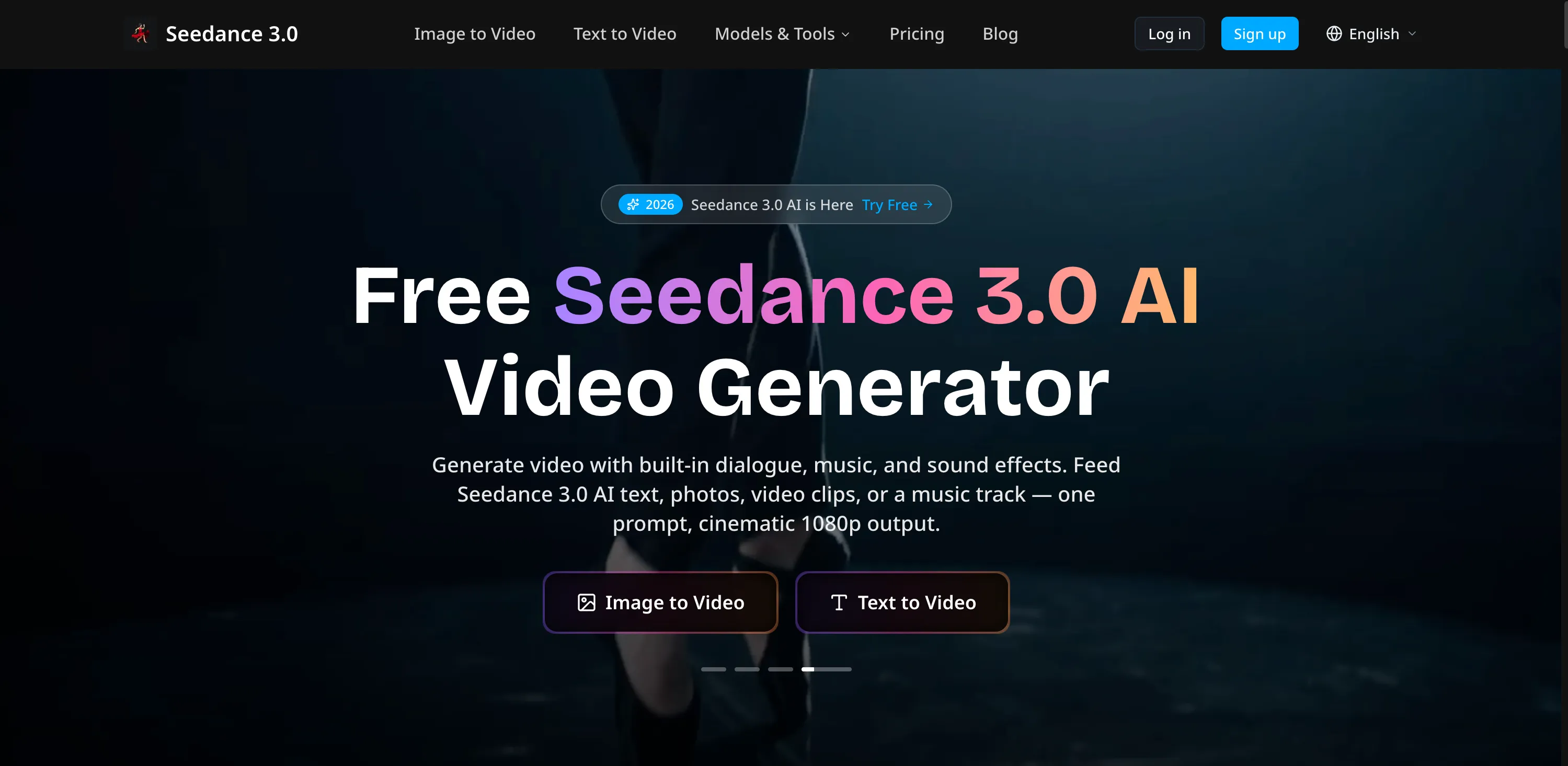 Seedance 3.0 AI logo